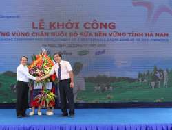 Hình thành vùng chăn nuôi bò sữa bền vững tỉnh Hà Nam
