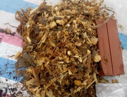 Quy trình ủ xanh thức ăn cho trâu bò