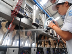 Ngành sữa hấp dẫn quỹ đầu tư ngoại