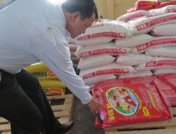 Đại biểu Quốc hội: Đấu tranh với chất cấm trong chăn nuôi như tội phạm ma túy